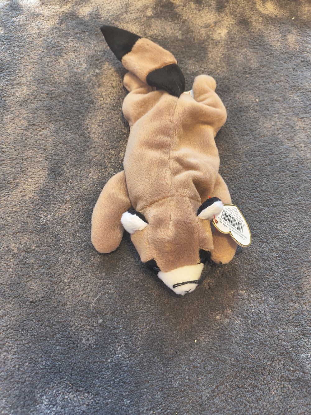 Ty Ringo Beanie Baby Plush in Brown and White